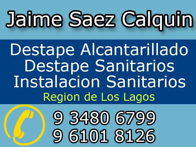 MaestroBioBio.cl Jaime Saez Calquin