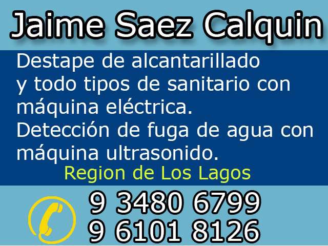 Jaime Saez Calquin